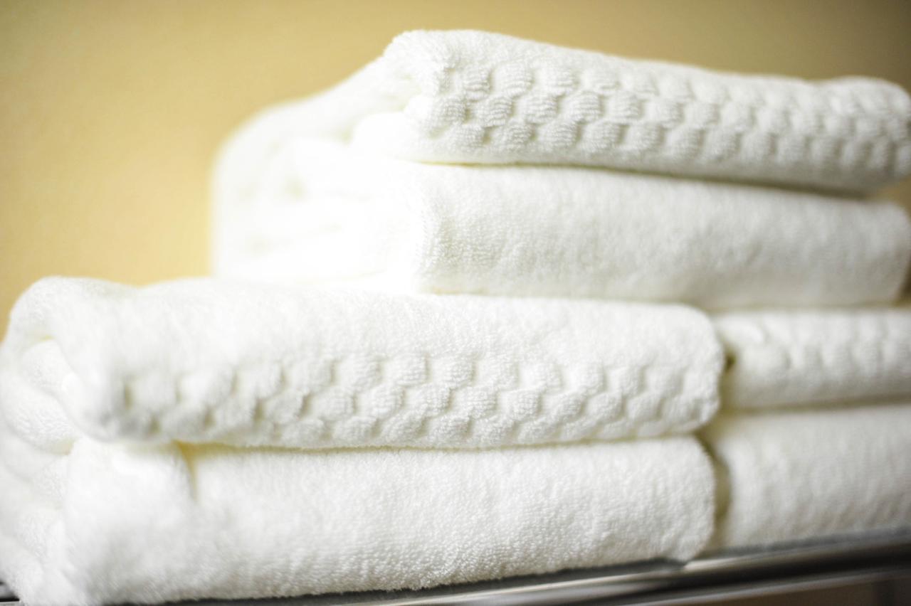 Xola Trademark Collection By Wyndham Hotel